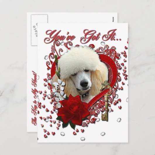 Valentijns - Sleutel tot mijn hart - Poedel - Abri Feestdagenkaart (Voorkant / Achterkant)