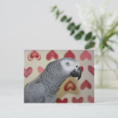 Valentijnsdag African Grey Parrot Feestdagenkaart (Staand voorkant)