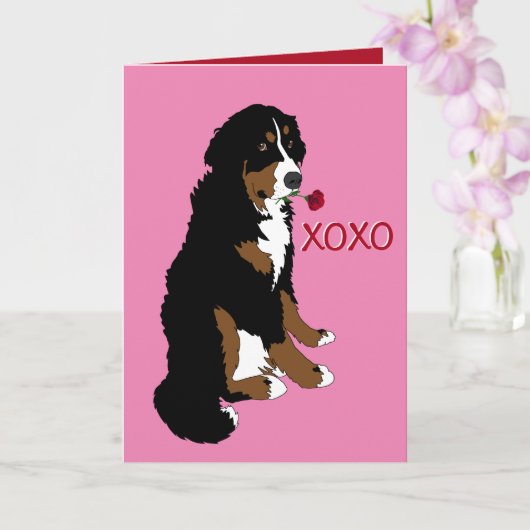 Valentijnsdag Berner Sennenhond  Kaart (Orchidee)
