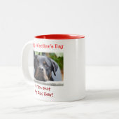 Valentijnsdag Best Dog Dad Ever Cute Pet Photo Tweekleurige Koffiemok (Voorkant links)