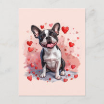 Valentijnsdag Boston Terrier Dog