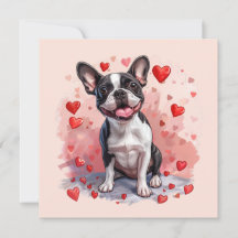 Valentijnsdag Boston Terrier Dog