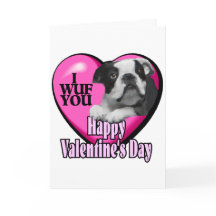 Valentijnsdag Boston Terrier