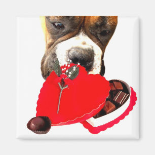 Valentijnsdag Boxer met chocolade magnet