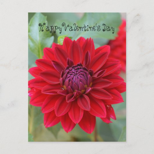 Valentijnsdag briefkaart met rode dahlia (Voorkant)