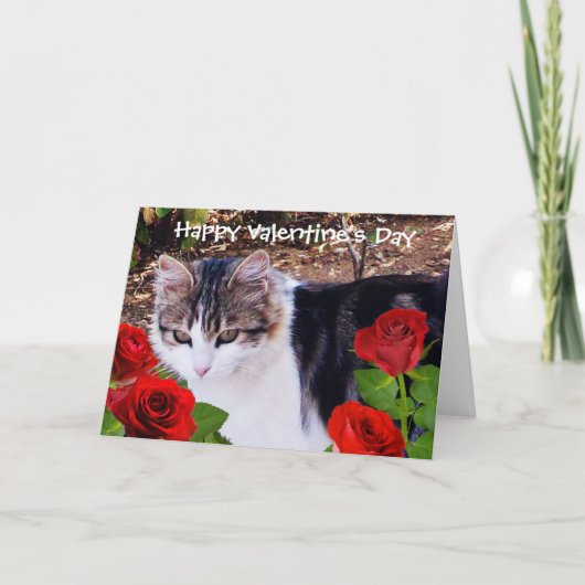 VALENTIJNSDAG CAT MET RODE ROSES FEESTDAGEN KAART (Voorkant)