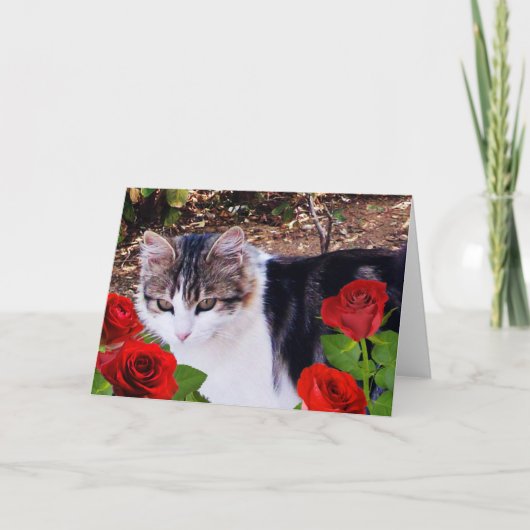 VALENTIJNSDAG CAT MET RODE ROSES FEESTDAGEN KAART (Voorkant)