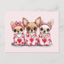 Valentijnsdag Chihuahua Dogs