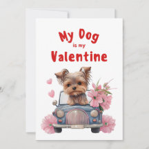 Valentijnsdag Cute Hond Huisdier Foto Vakantiebkaa