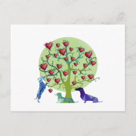 Valentijnsdag Dachshond Hartjes Ansichtkaart Feestdagenkaart