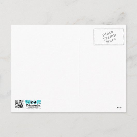 Valentijnsdag - Dexter - Teckel Feestdagenkaart (Achterkant)