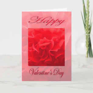 Valentijnsdag Dianthus Rode Bloem Feestdagen Kaart