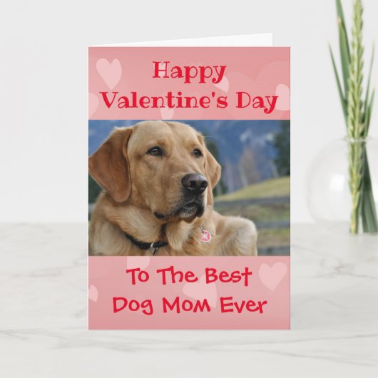 Valentijnsdag Dog Mam Worlds Best Ever Pet Photo Kaart (Voorkant)
