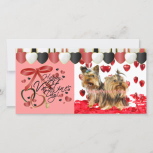 Valentijnsdag fotokaarten voor je huisdieren! feestdagenkaart