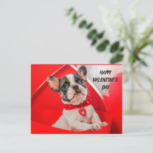 Valentijnsdag Franse Bulldog Feestdagenkaart