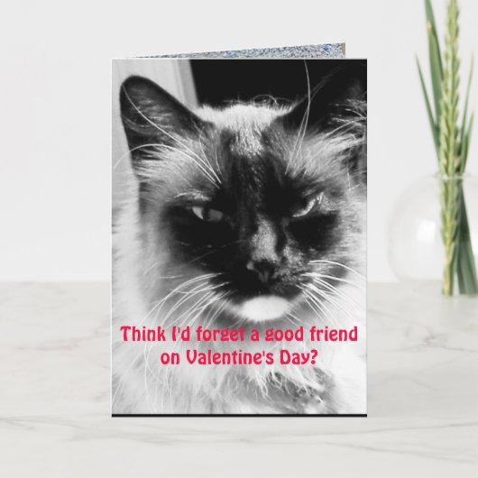 Valentijnsdag Funny Cat voor vrienden Feestdagen Kaart (Voorkant)