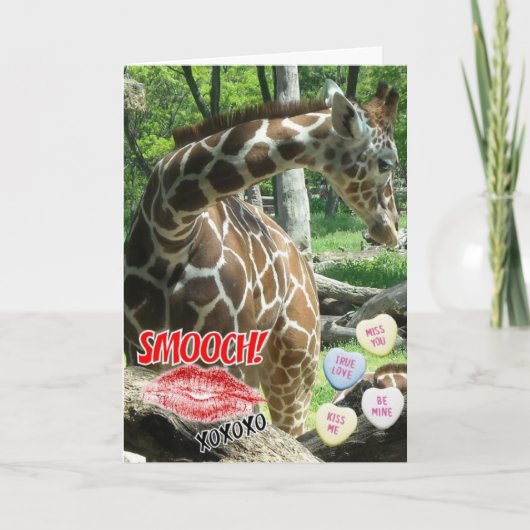 Valentijnsdag Giraffe Feestdagen Kaart (Voorkant)