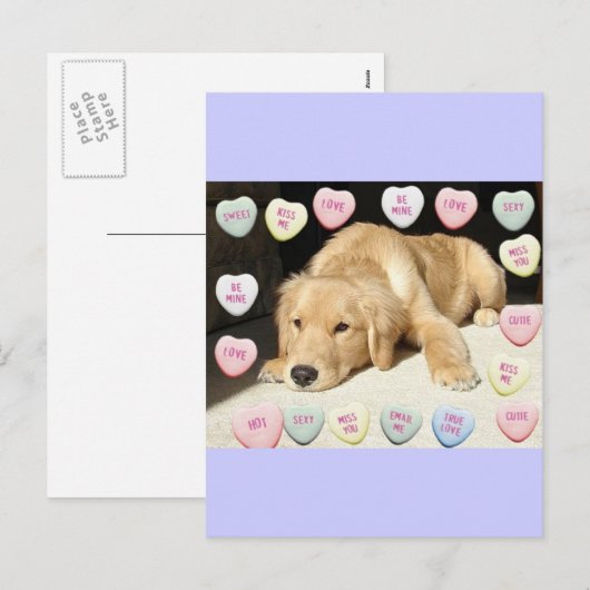 Valentijnsdag Golden Retriever Feestdagenkaart (Voorkant / Achterkant)