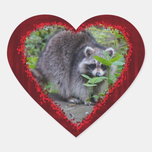 Valentijnsdag Greeting - Shy Raccoon Hart Sticker (Voorkant)