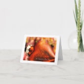 Valentijnsdag Hart: Rood in Glitter Feestdagen Kaart (Voorkant)