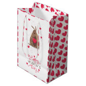 Valentijnsdag Heart Texas Armadillo Medium Cadeauzakje (Voorkant Gekanteld)