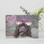 Valentijnsdag Herten Puppy Feestdagenkaart (Staand voorkant)