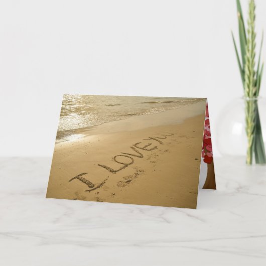 Valentijnsdag houdt van romantische lotsbestemming feestdagen kaart (Voorkant)