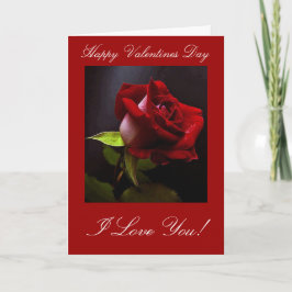 Valentijnsdag-kaart Feestdagen Kaart