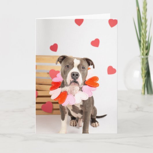 Valentijnsdag-kaart Kaart (Voorkant)