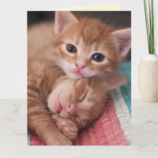 VALENTIJNSDAG KAART ROMANTISCHE KAT (Voorkant)