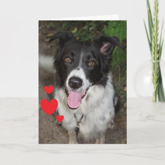 Valentijnsdag Kaart van de hond (Voorkant)