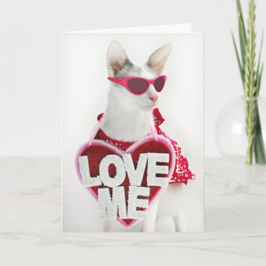 Valentijnsdag Kaart van Skeezix the Cat (Voorkant)