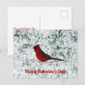 Valentijnsdag kardinaal briefkaart (Voorkant / Achterkant)