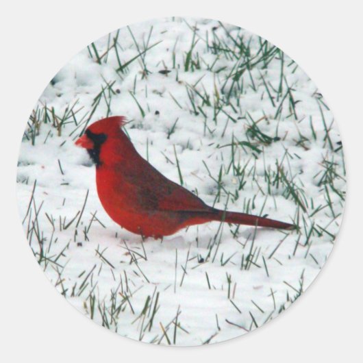 Valentijnsdag Kardinaal Ronde Sticker (Voorkant)