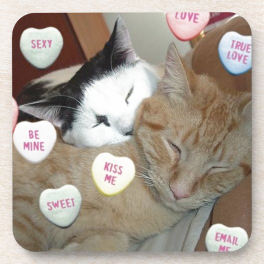 Valentijnsdag Katten Bier Onderzetter (Voorkant)
