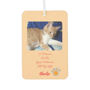 Valentijnsdag kattenfoto humor tekst luchtverfrisser