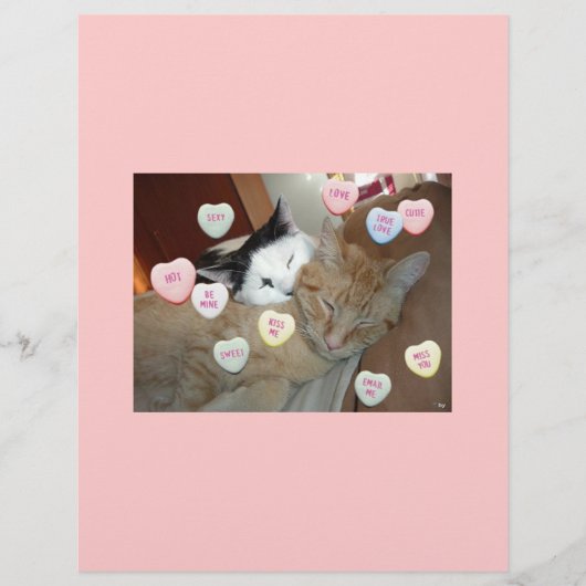 Valentijnsdag Kittens Flyer (Voorkant)