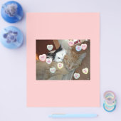 Valentijnsdag Kittens Flyer (Enkel)