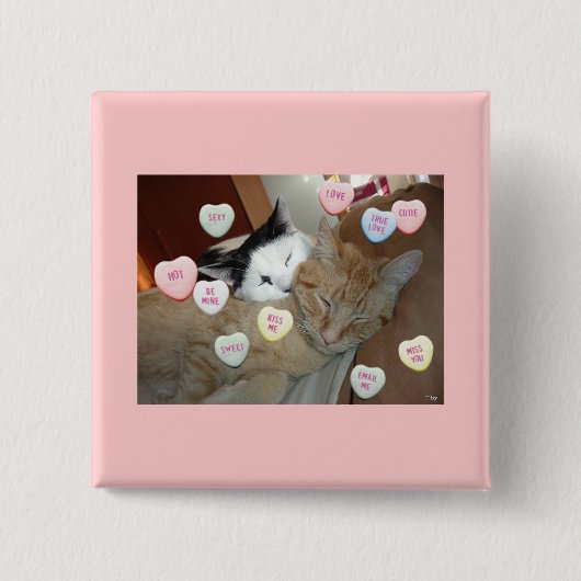 Valentijnsdag Kittens Vierkante Button 5,1 Cm (Voorkant)