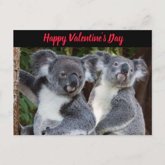 Valentijnsdag Koala Beren briefkaart (Voorkant)