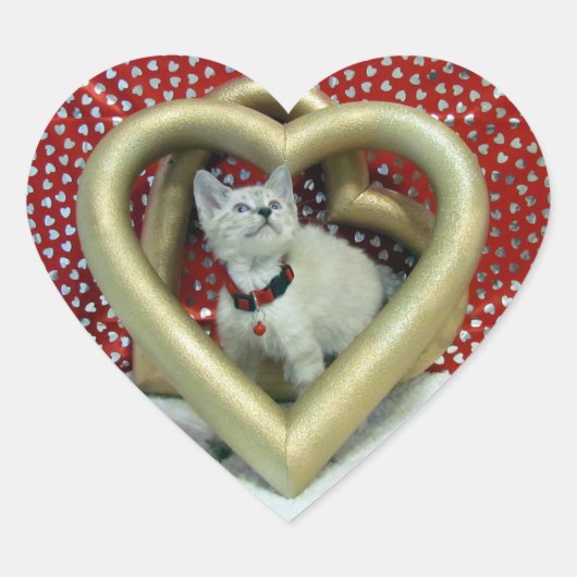 Valentijnsdag - Liefdes Phoenix - Kat / Kitten Hart Sticker (Voorkant)