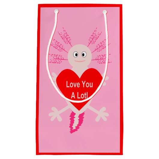 Valentijnsdag Love Heart Axolotl Klein Cadeauzakje (Voorkant)