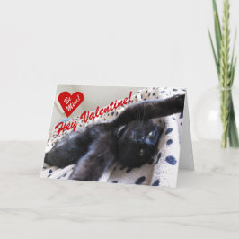 Valentijnsdag met een schattige kat feestdagen kaart