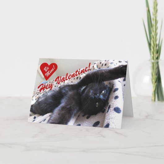 Valentijnsdag met een schattige kat feestdagen kaart (Voorkant)