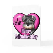 Valentijnsdag Miniature Schnauzer