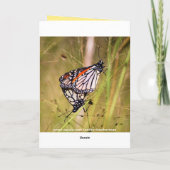 Valentijnsdag Monarch Butterfly Paar Feestdagen Kaart (Achterkant)