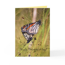 Valentijnsdag Monarch Butterfly Paar