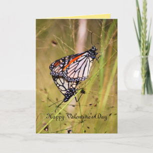 Valentijnsdag Monarch Butterfly Paar Feestdagen Kaart
