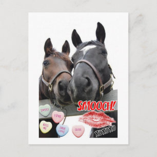 Valentijnsdag paarden feestdagenkaart