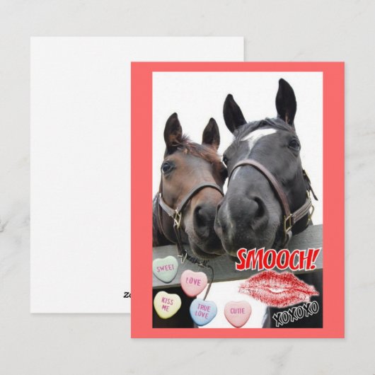 Valentijnsdag paarden feestdagenkaart (Voorkant / Achterkant)